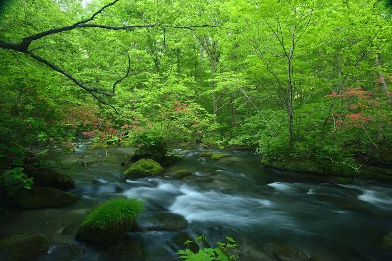 奥入瀬渓流と十和田湖の優しい自然に癒される旅 image1